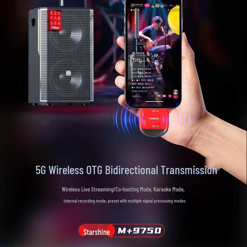 Wanlida M+9750 Outdoor Professional Live Streaming Speaker for K Song Performance and High-Power Square Dance.