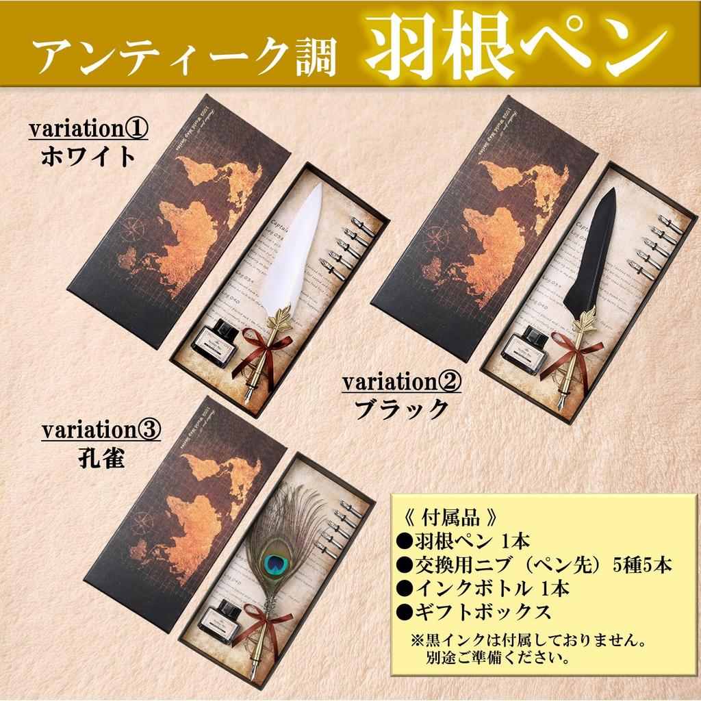 NOELAMOUR Quill Antique Fountain Ink Bottle Feather Dip Pen Pen, Pen, Set, (White)