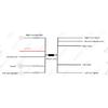 BSD  Blind Area  Spot Detection System Lane Change Blind Spot Monitoring  BSM BSA 24Ghz Millimeter Wave Sens