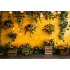 Farm Sunflower Photography Background Garden Flower Kids Birthday Party Cake Smash Baby Shower Portrait Backdrop Photo Studio