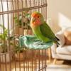 Wear-resistant Parrot Perch Stand Shell Shape Bird Cage Perches Parrot Resting Platform Beak Care