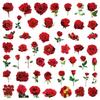 50200Pcs Transparent Pet Flower Plant Material Stickers Handbooks Tablets Phone Water Cups Decor Stationary Notebook Stickers