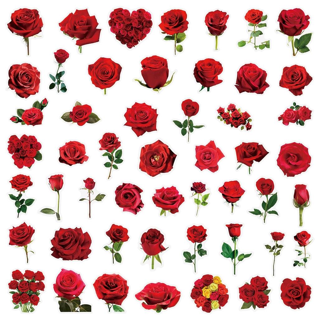 50200Pcs Transparent Pet Flower Plant Material Stickers Handbooks Tablets Phone Water Cups Decor Stationary Notebook Stickers