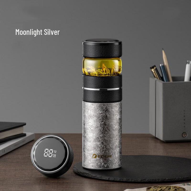 Titanium Smart Tea Infuser Bottle with Temperature Display