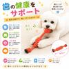 Dog Chew Dog Toys That Dogs Will Never Get Bored Dental Stress Large Small and Medium Set Dog [maru5] Toys, Toys, With, Rope, Care, Relief, Sturdy,