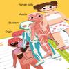 Magnetic Body Structure Puzzle Book Wooden Preschool Body Parts Learning Puzzle Book Parent-child Interactive Educational Human Anatomy Book