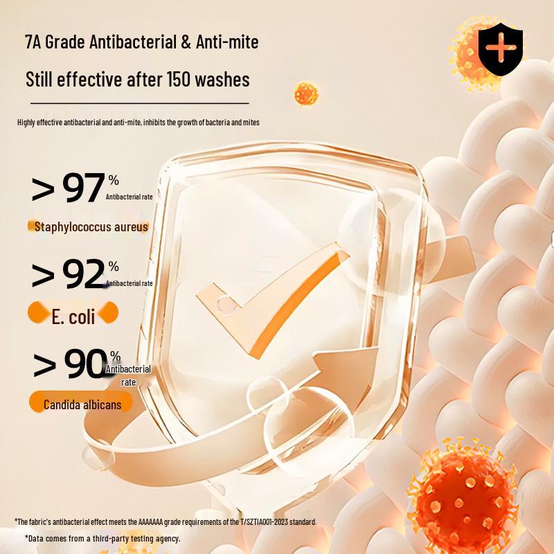 Women's Pure Cotton Round Neck Warm Inner Wear for Autumn/Winter