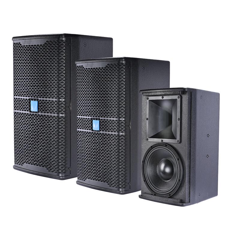 CTRLPA Professional Full-Range Speaker