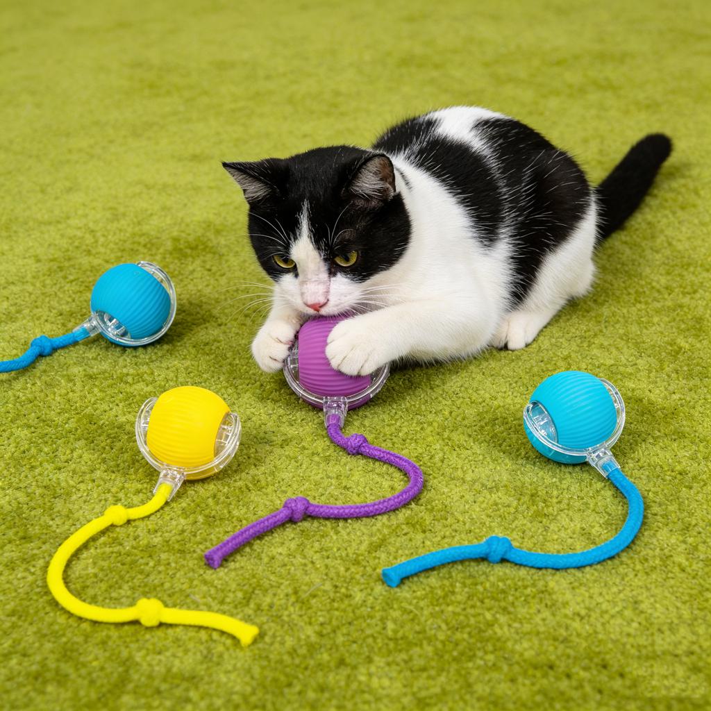 Duurzame automatische speelbal, speelgoedbal, hulpmiddel voor zelfvermaak en stressvermindering met touw, huisdierbenodigdheden, springbal