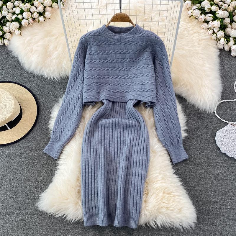 

Autumn and Winter Korean Lazy Wind Sweater Women s Loose Chic Blouse Top Two-piece Set Knitted Suspender Vest Dress One Size сірий колір