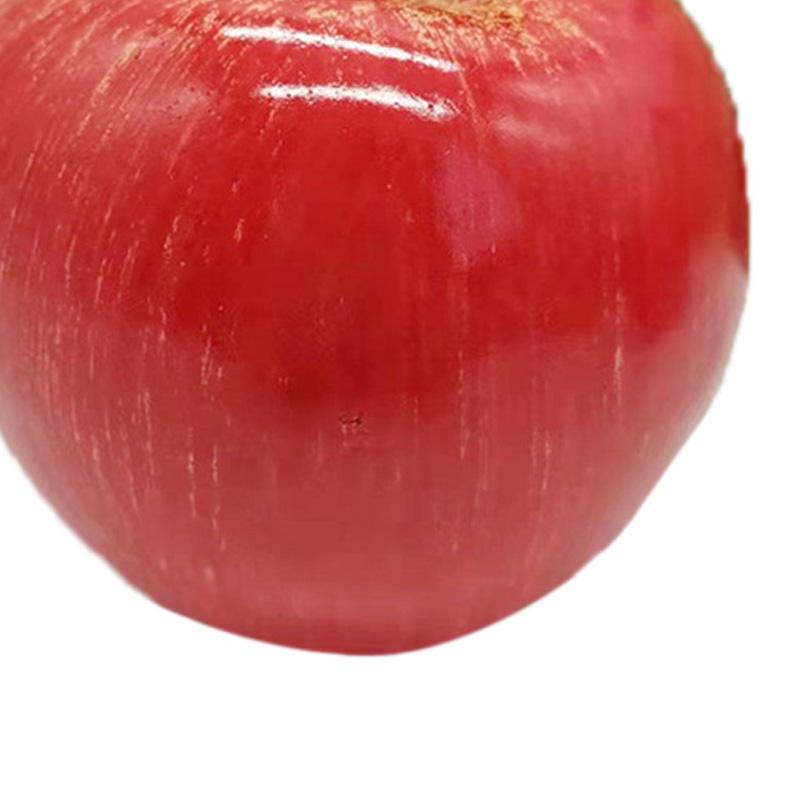 Künstliche Frucht Simulationsmodell Schaumstoff Fake Obst Kindergarten Lehrmittel Dekorative Requisiten Rosa