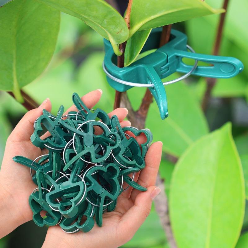 Plant Fixed Clips Reusable Garden Greenhouse Bracket Seedling Stem Support Fastener Garden Climbing Vines Vegetables Fixed Tool