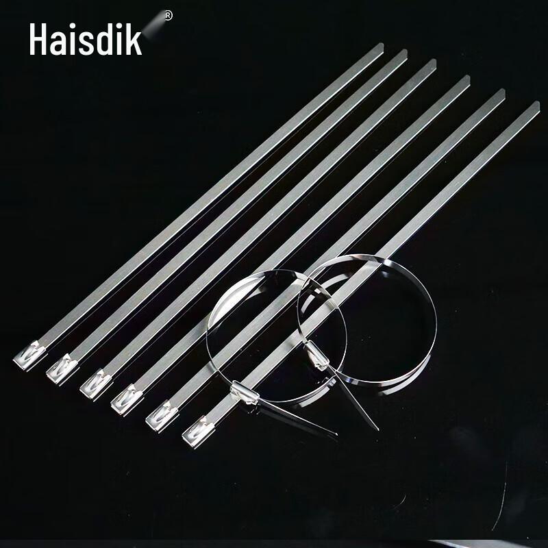 HAISIDIKE 304 Stainless Steel Self-Locking Cable Ties