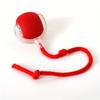 Automatic Rolling Cat Ball Toy with LED Light & Tail Rope, Interactive Play for Pets