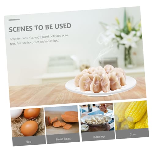 Operitacx 1-Piece Perforated Ceramic Steamer, Convenient and Practical for Home Food Steaming, Fish, and Dumplings