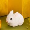 Gift Shop Fancy Pair of Rabbit Zodiac X X New Authentic Ca264w Figurines, Sign, Resin, 5.8 10.6 6.6cm, Year's Decoration, Gift, Object, (White