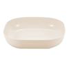 10 Piece Multi Functional Boning Tray Set Dining Table Trash, Household Snack & Fruit Tray
