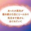 Assortment Megurhythm Steam Eye Mask Forest Ripe Lavender 12 Masks Per Box Boxes [Trial Set] - Unscented, Osmanthus, Bath, Hinoki, Yuzu, - (6 Total)