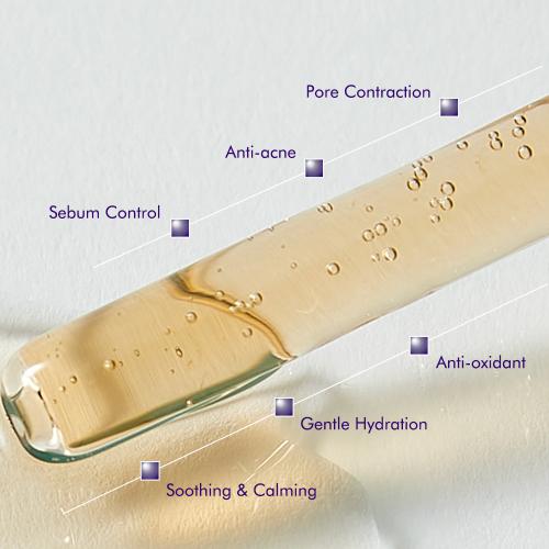 Akleon Sebo-Derm Solution Acne Oily Skin Pore Antioxidant Ampoule 55ml