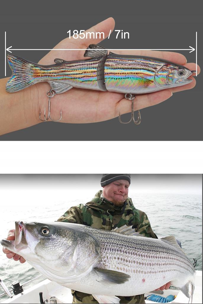 Wobbler Fishing Lure Pike Zander Catfish Imitates Roach Xxxl 68G 18.5Cm