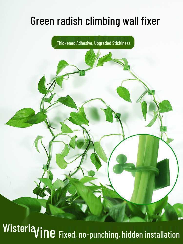 Pothos Climbing Clips: Rose Green Plant Wall Hooks for Vines