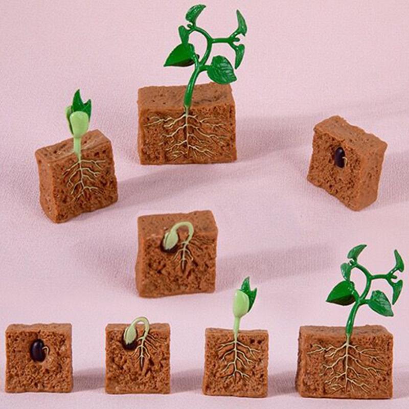 Simulation Life Cycle Animals Model Children Montessori Toy Insect Plant Growth Cycle Biology Science Educational Toy Tmz