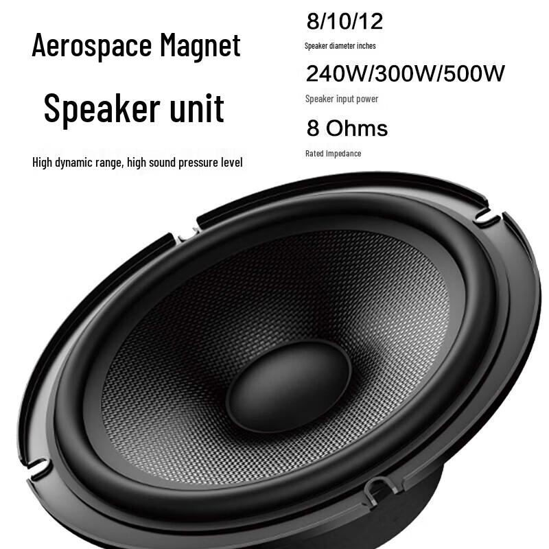 KaYouLa 10-inch Full-range Stage Speaker