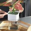 Automatic Self Watering Flower Pot Transparent Visible Water Level Plant Container Gardening Tools
