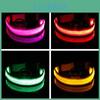 Collare per Cani a LED Luminoso Ricaricabile Per Cani Piccoli Medi Grandi