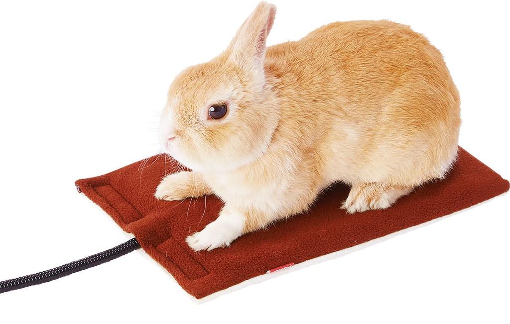 Petio Electric Pet Hard 2 S Heater,
