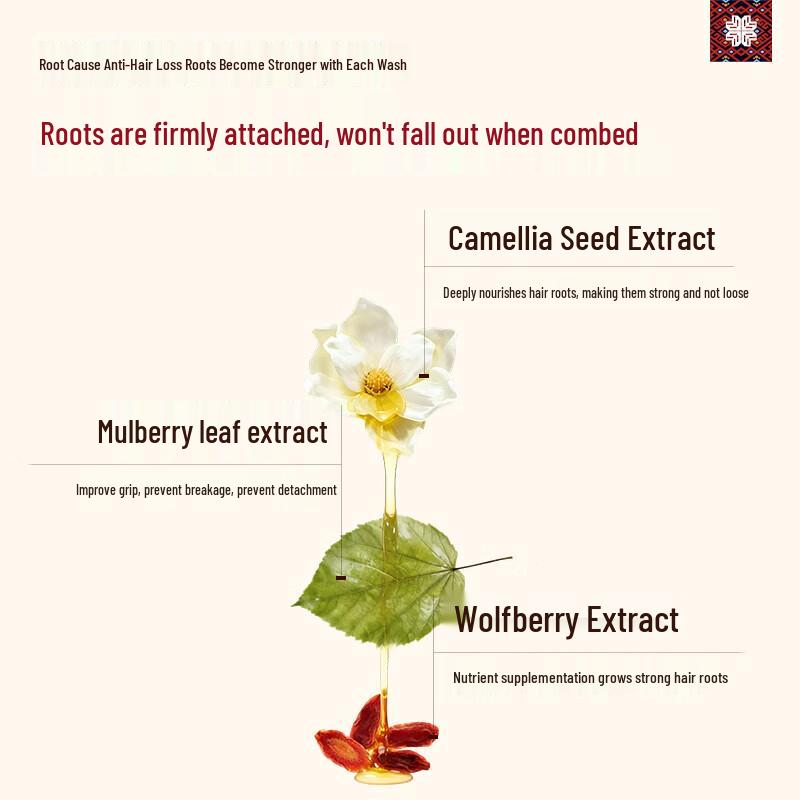 Changfaxiaozhai Anti-Hair Loss & Oil Control Volumizing Shampoo 400g