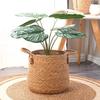 Nordic Minimalist Rattan Floor Standing Flower Pot Set - Large Monstera Plant Basket Decor.
