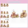 Niedliche Capybara Figuren Serie Zwei Blind Box Gashapon Kapselspielzeug Set