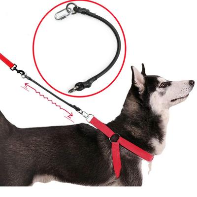 Hundeleine Verlängerungsleinen Seil Elastische Hundeleine 45cm Verlängerungsleinen für Hundeauslauf Sicherheit Haustierkettenseile Haustierzubehör