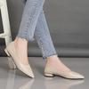 2025 Spring and Autumn New Pointed Toe Single Shoes Women Thick Heel Shallow Mouth Professional All-match Women's Shoes