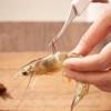 Shrimp Peeler And Deveiner Tool Shrimp Fish Scale Remover Multifunctional Portable Seafood Gadgets Tools For Family