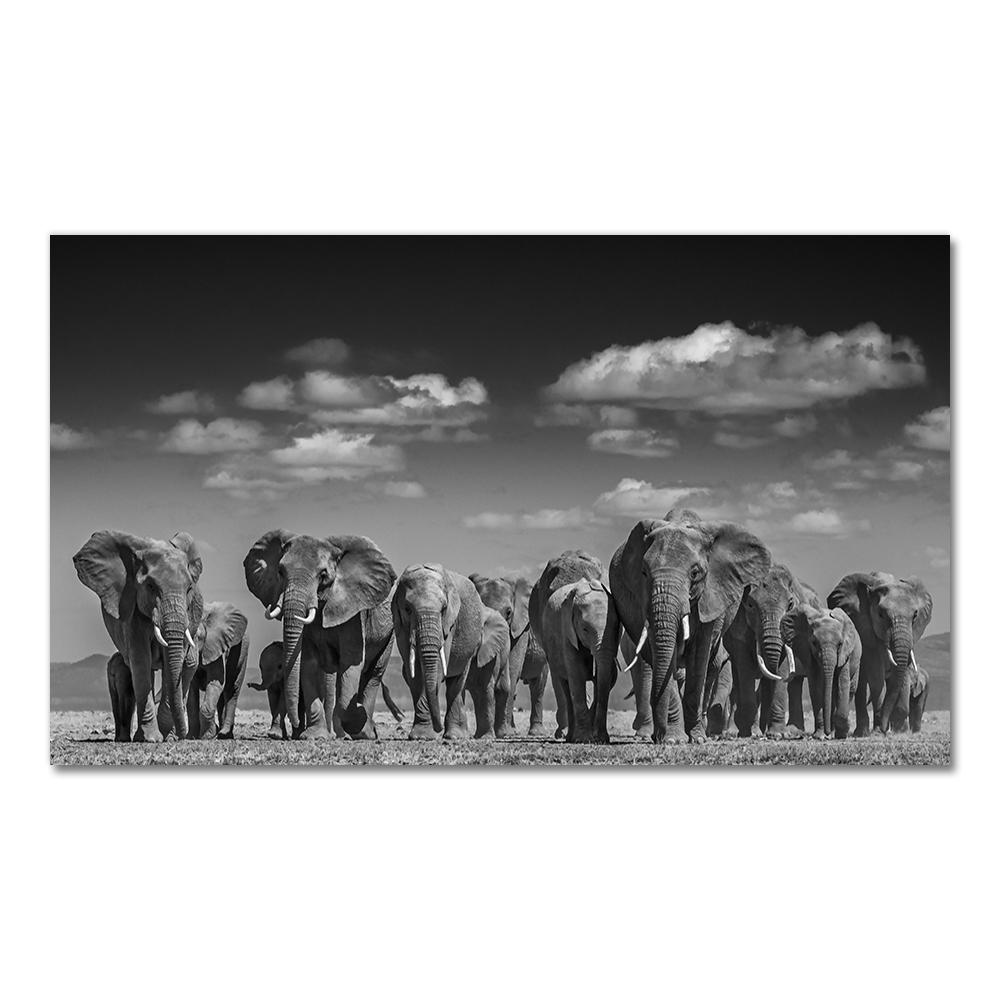 Animali moderni Poster e stampe Wall Art Canvas Painting Elefanti africani Immagini di mandrie per soggiorno Cuadros Decor Senza cornice