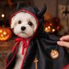 Cane di Halloween e Mantello Costume, Mantellina Divertente per Cani e Gatti