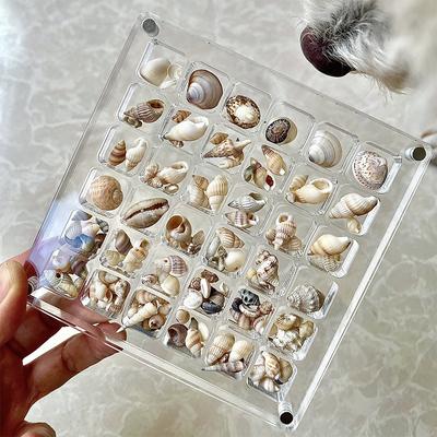 Acryl Display Box Schmuck Veranstalter 36/64/100 Grids Mini Seashell Lagerung Box
