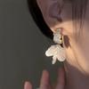 Neue trendige Kristall Quaste Drop Ohrringe für Frauen Fashion Party Schmuck koreanische Blume baumeln Ohrringe Persönlichkeit Zubehör