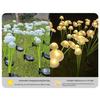 Garden Light Solar Powered Jellyfish Shape Outdoor Yard Light Waterproof Scratch-Resistant Small Size Garden Lamp