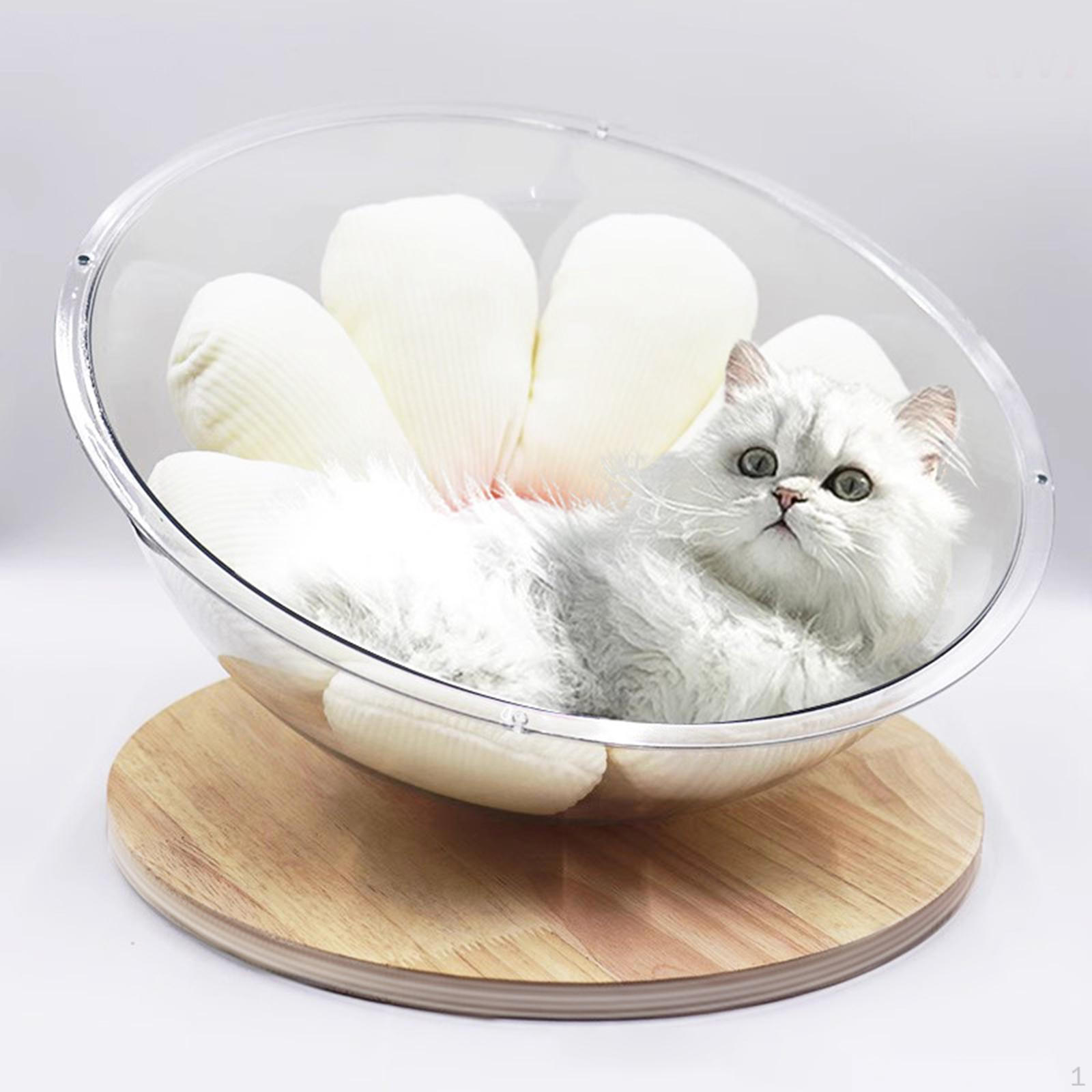 

Кровать-капсула для мелких домашних животных - интерактивный игровой центр для котят