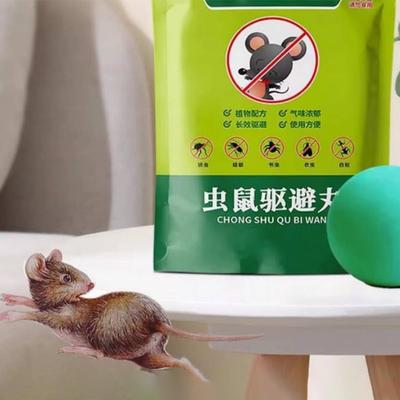 Temizlik ve Organizasyon – Haşere Kovucu