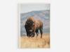 Wildlife Wall Art Western Country Rustic Print Buffalo Bull Elk Cowboy Horse Yellowstone Bison Canvas Painting Home Decor