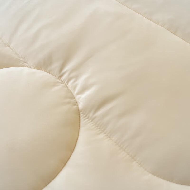 FIRS Soft Soybean Fiber Winter Quilt