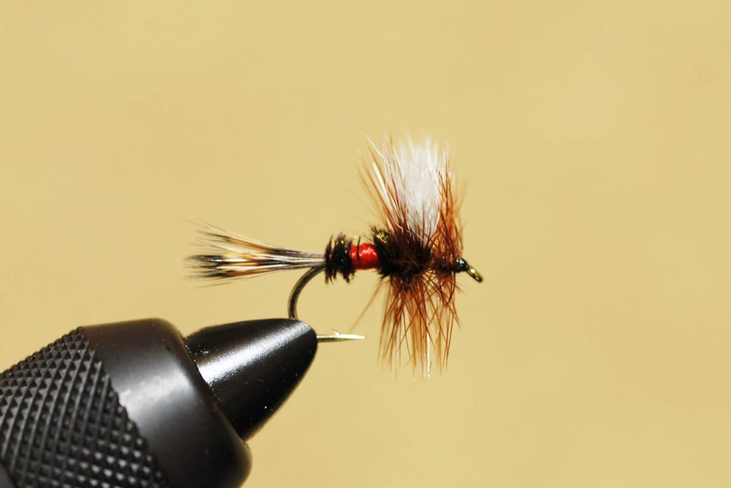Complete Fly Set from the Fly SD Standard Dry Yamame Char Shop Selection, Fly, Trout, #16