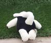 Takeoff Plush Toy Intimidating Zoo Anteater Animal In a Threatening Pose with Both Arms - (S) - (An Raised)