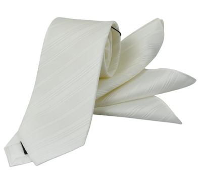 Tie Pocket Square Wedding [Michiko London] & Set, White, Formal, (03)