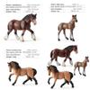 Horse Animal Figurine Set Pvc Durable Realistic Collectible Decoration For Kids And Gift Purposes
