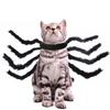 Giant Spider Cat and Dog Costume Black Animal Costume